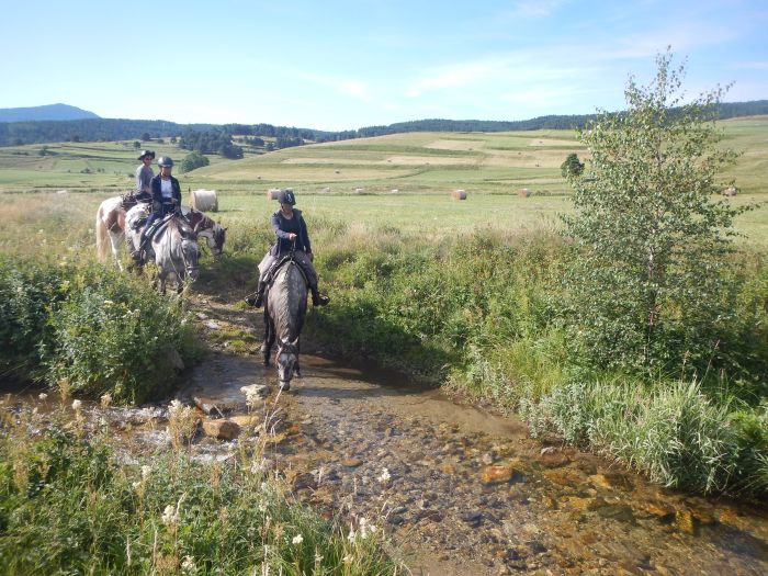Horseback riding in the Pyrenees and introduction to trail riding