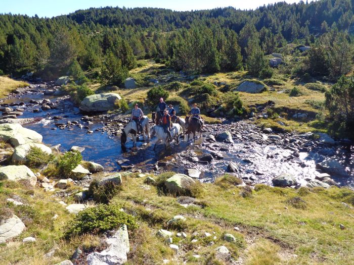 Horseback riding in the Pyrenees and introduction to trail riding