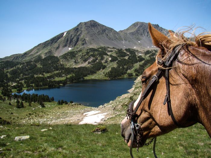 Horseback riding in the Pyrenees and introduction to trail riding