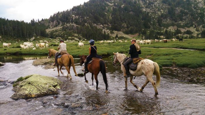 Horseback riding in the Pyrenees and introduction to trail riding