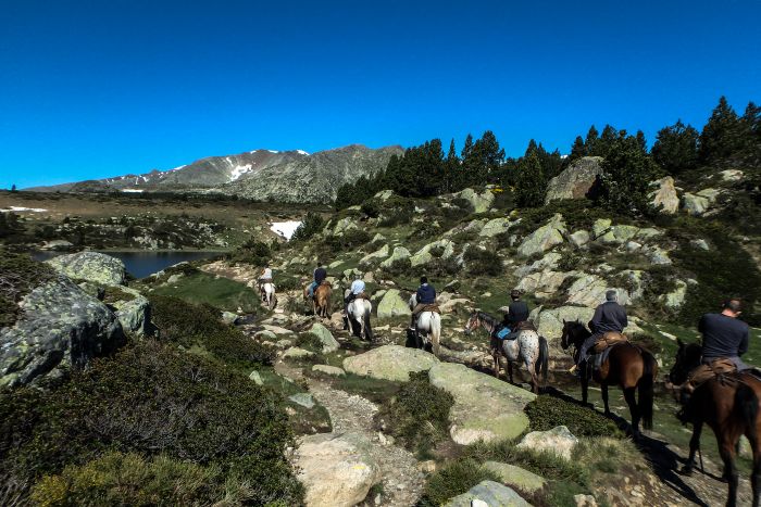 Horseback riding in the Pyrenees and introduction to trail riding