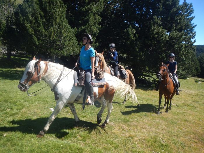 Horseback riding in the Pyrenees and introduction to trail riding