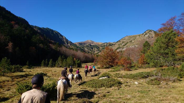 Crossing Borders through the Pyrenees