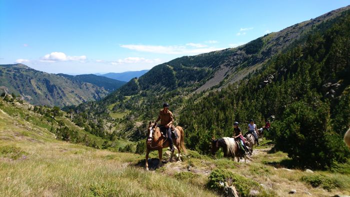 Crossing Borders through the Pyrenees