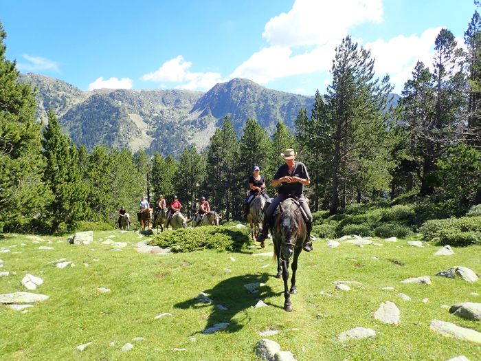 Crossing Borders through the Pyrenees