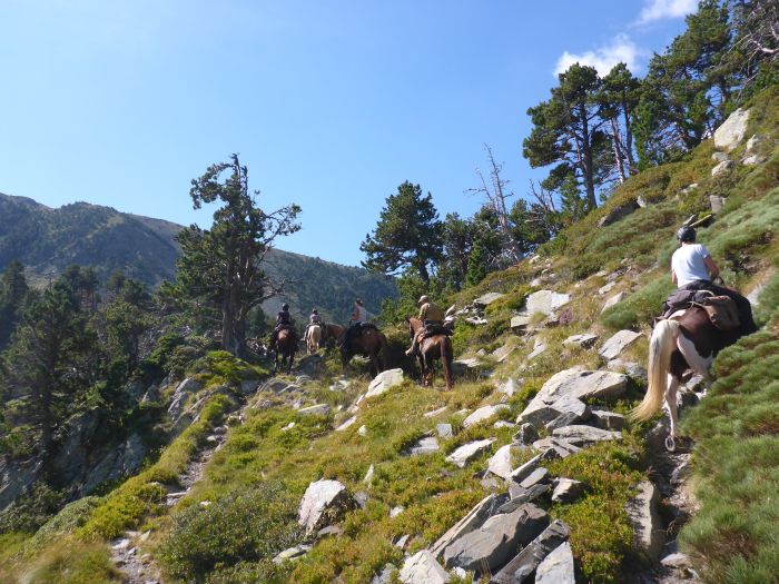 Crossing Borders through the Pyrenees
