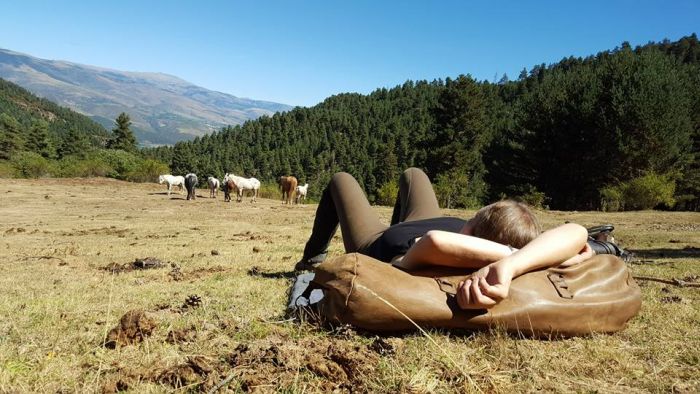 Crossing Borders through the Pyrenees