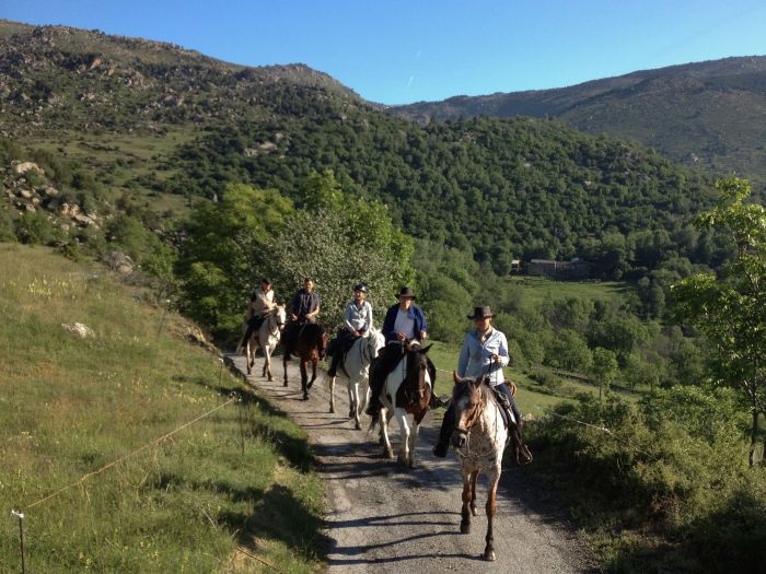 Crossing Borders through the Pyrenees