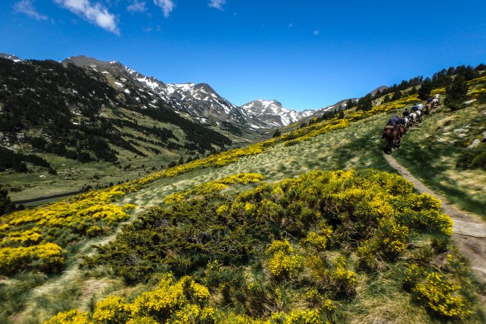 Crossing Borders through the Pyrenees