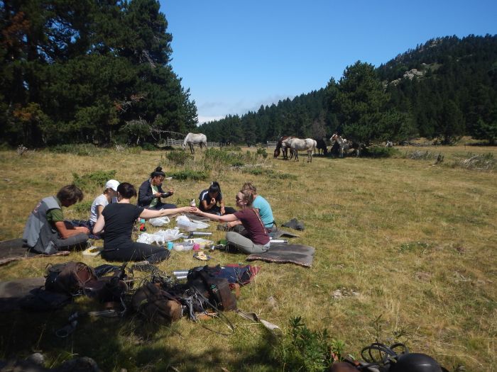 Crossing Borders through the Pyrenees