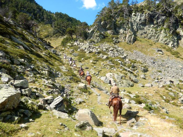 Crossing Borders through the Pyrenees