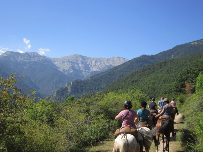 Crossing Borders through the Pyrenees