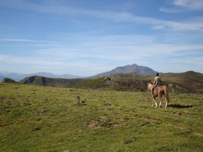 Crossing Borders through the Pyrenees