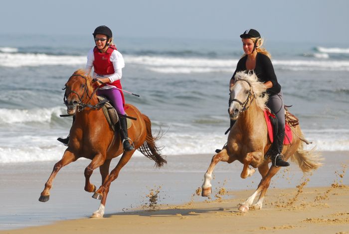 Castles of the Périgord and Atlantic beaches