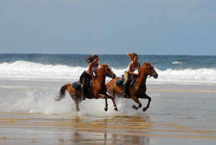 Castles of the Périgord and Atlantic beaches