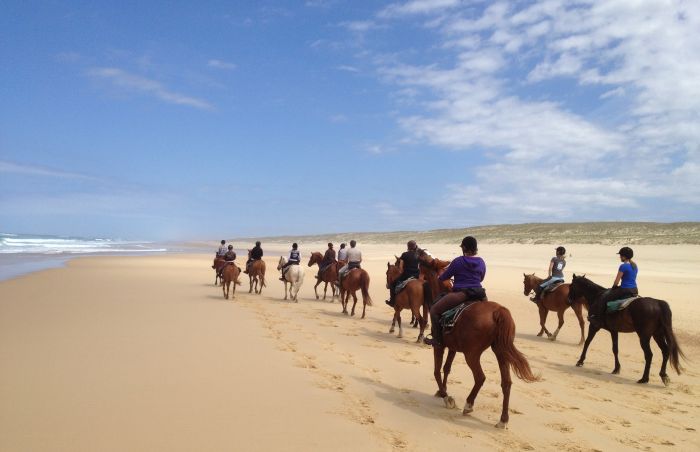 Castles of the Périgord and Atlantic beaches