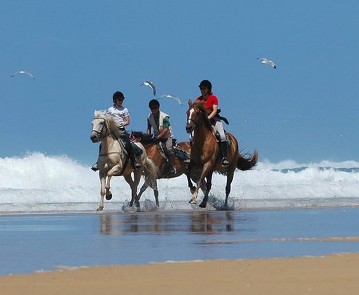 Castles of the Périgord and Atlantic beaches