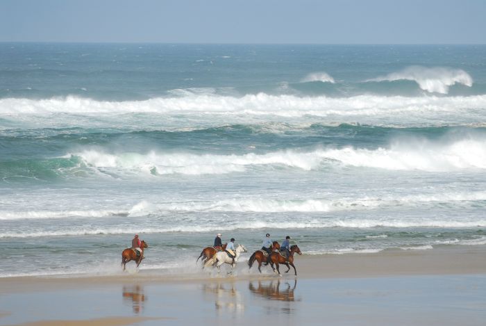 Castles of the Périgord and Atlantic beaches