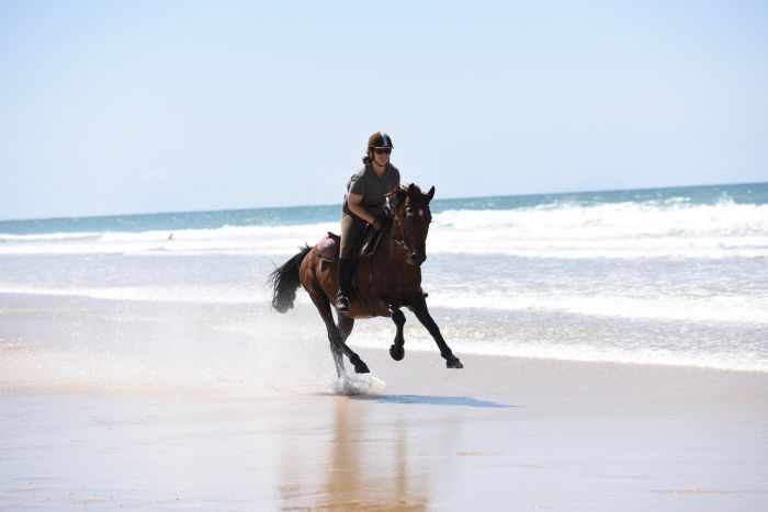 Castles of the Périgord and Atlantic beaches