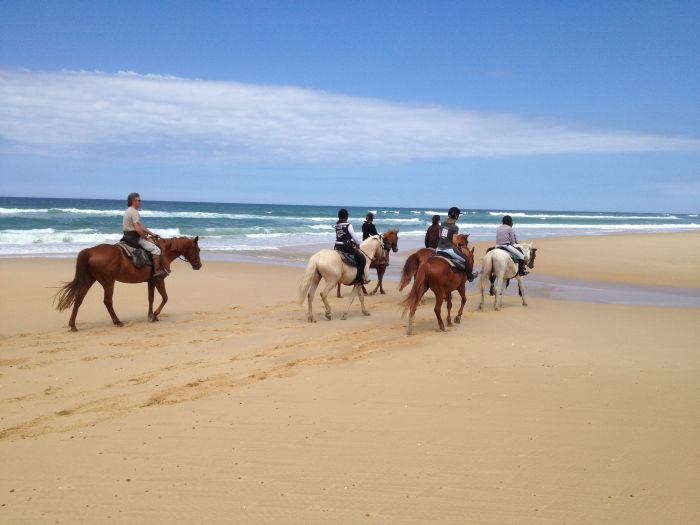Castles of the Périgord and Atlantic beaches