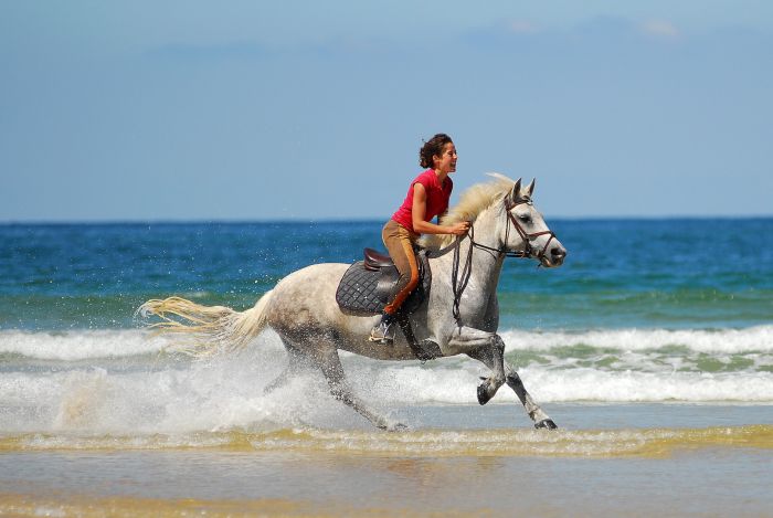 Castles of the Périgord and Atlantic beaches