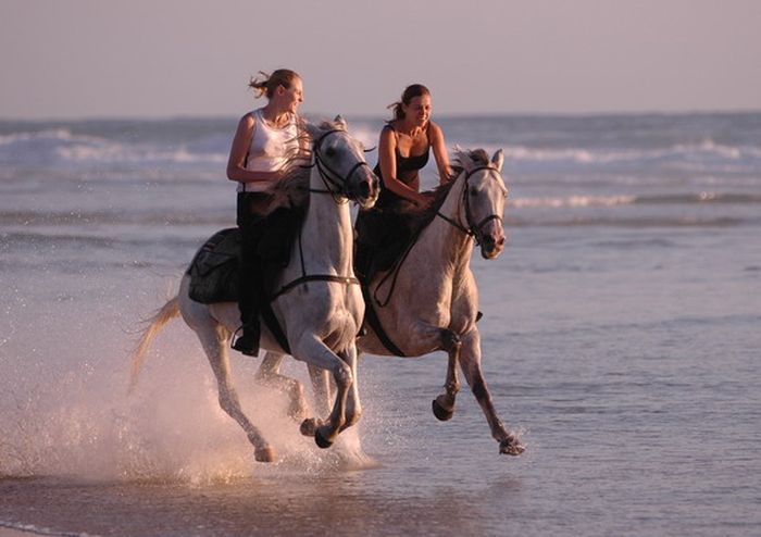 Castles of the Périgord and Atlantic beaches