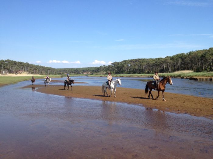 Castles of the Périgord and Atlantic beaches