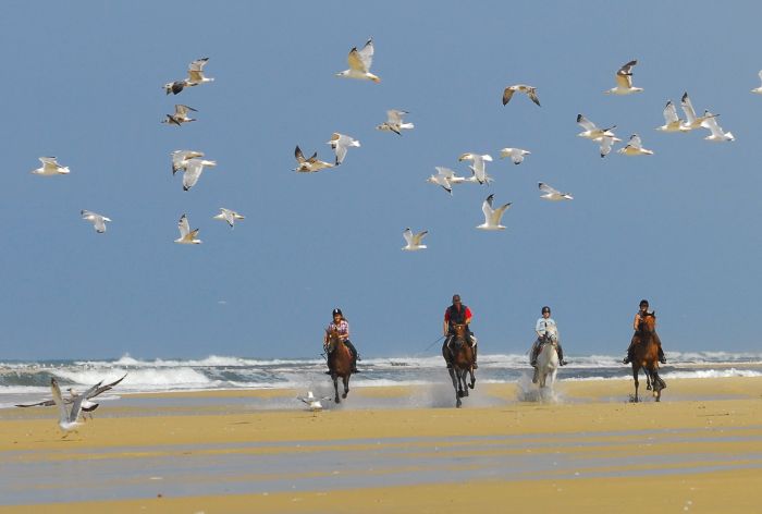 Castles of the Périgord and Atlantic beaches