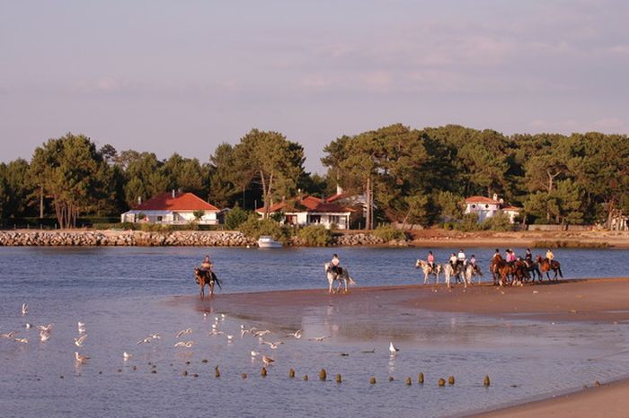 Castles of the Périgord and Atlantic beaches