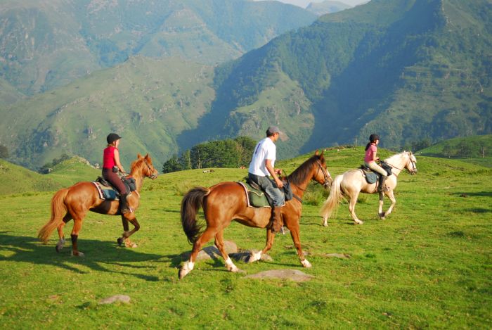 Pyrenees and Beach Trail