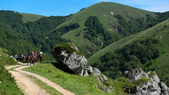 Pyrenees and Beach Trail