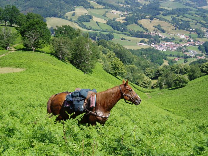 Pyrenees and Beach Trail