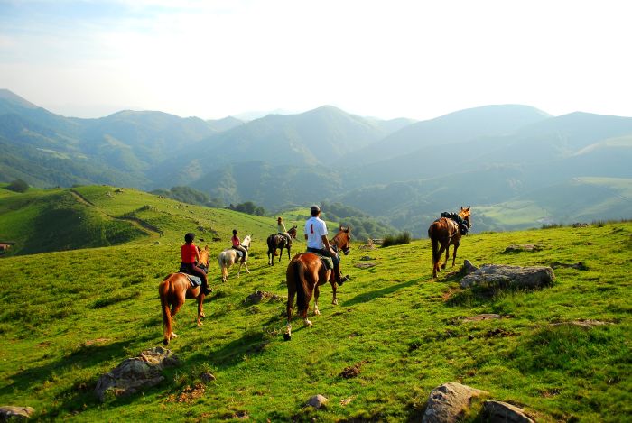 Pyrenees and Beach Trail