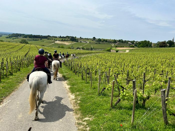 Gourmet tour to the wine castles of Bordeaux