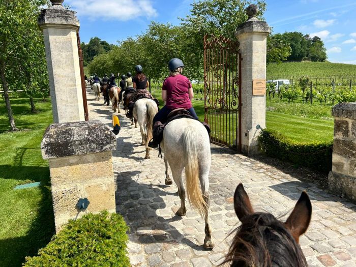 Gourmet tour to the wine castles of Bordeaux