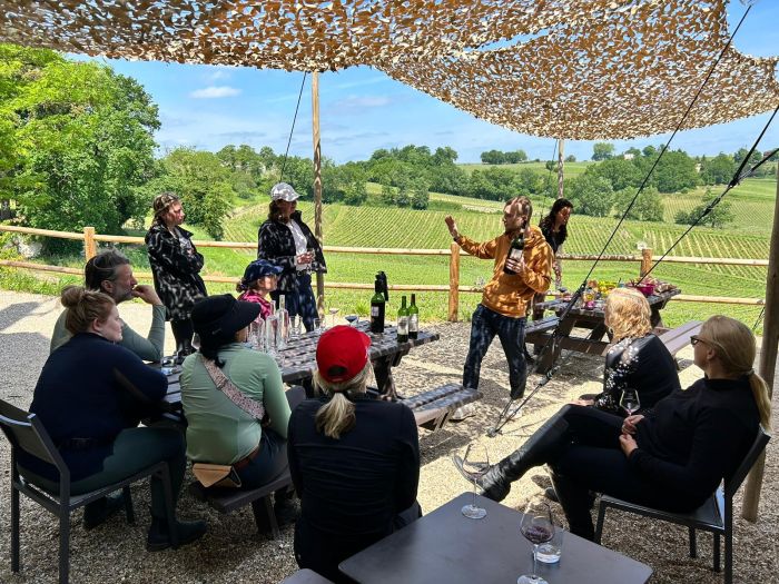 Gourmet tour to the wine castles of Bordeaux