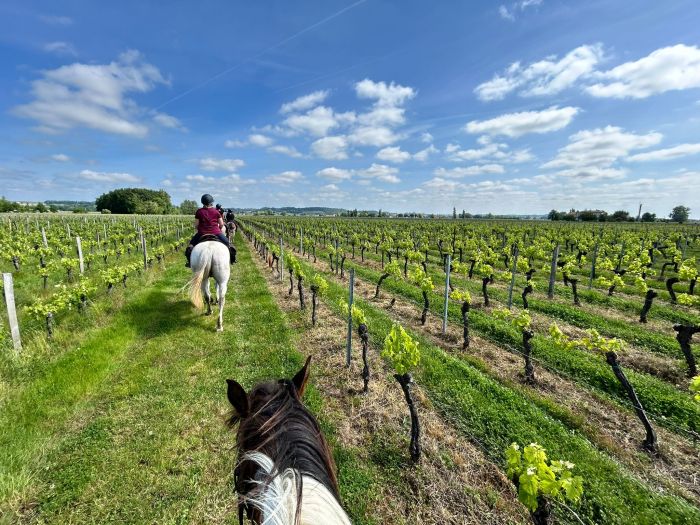 Gourmet tour to the wine castles of Bordeaux