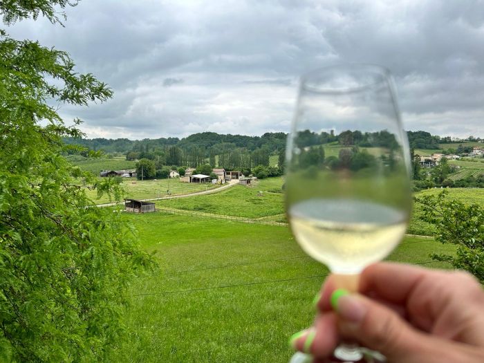 Gourmet tour to the wine castles of Bordeaux