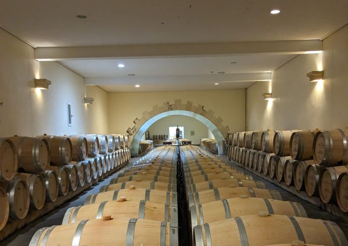 Gourmet tour to the wine castles of Bordeaux