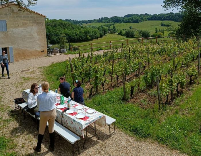 Gourmet tour to the wine castles of Bordeaux