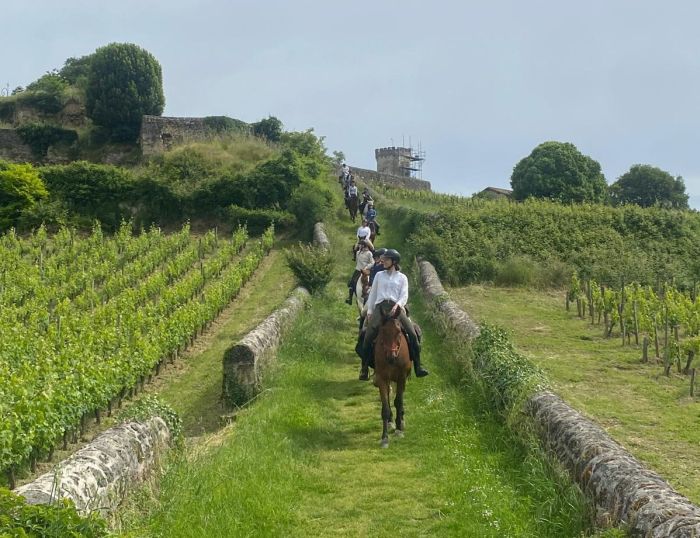 Gourmet tour to the wine castles of Bordeaux