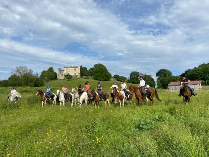 Gourmet tour to the wine castles of Bordeaux