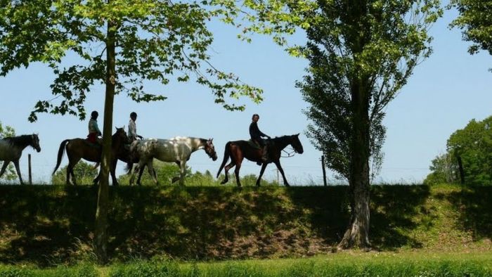 Gourmet tour to the wine castles of Bordeaux