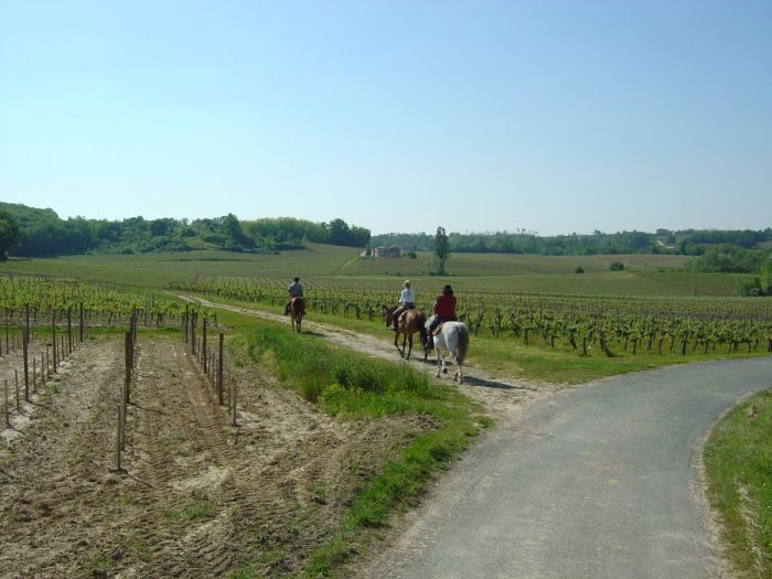 Gourmet tour to the wine castles of Bordeaux