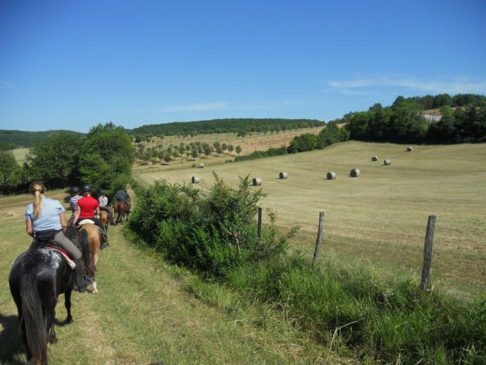 Gourmet tour to the wine castles of Bordeaux
