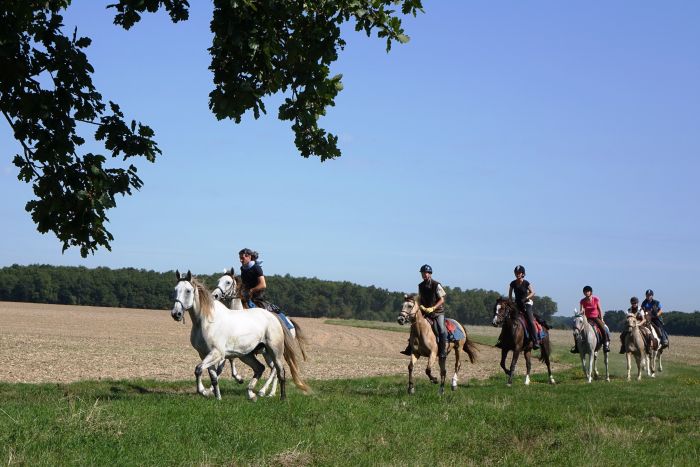 Castles of the Loire - Trail ride for connoisseurs