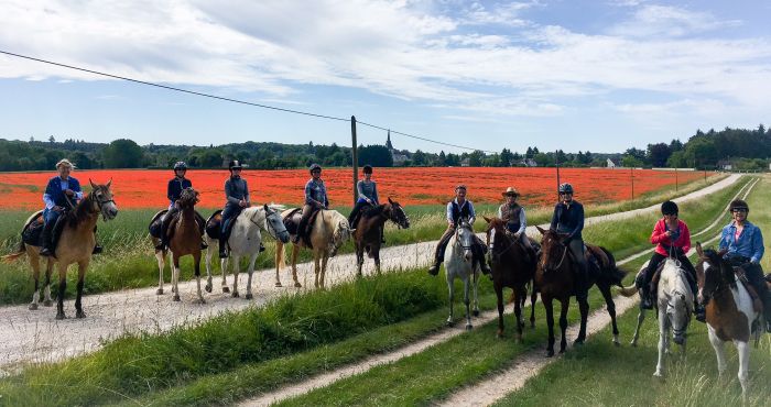Castles of the Loire - Trail ride for connoisseurs