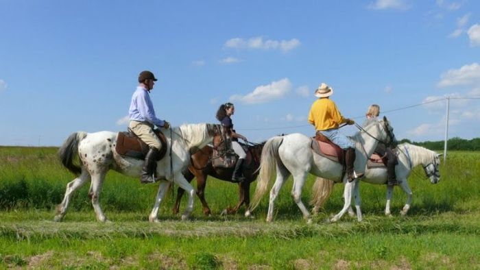 Castles of the Loire - Trail ride for connoisseurs