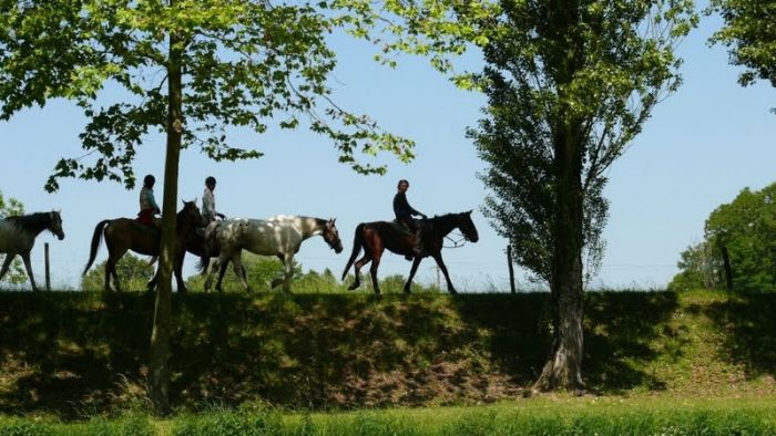 Castles of the Loire - Trail ride for connoisseurs