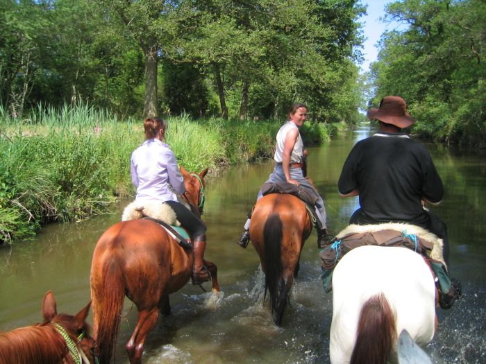 Castles of the Loire - Trail ride for connoisseurs